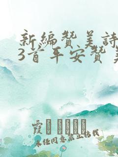 新编赞美诗303首平安赞美歌