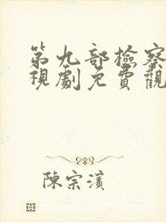 第九部检察官电视剧免费观看全集