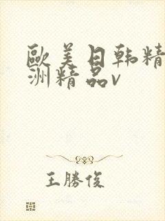 欧美日韩精品亚洲精品v