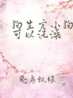 狗生完小狗多久可以洗澡