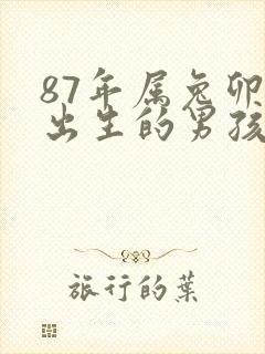 87年属兔卯时出生的男孩命运