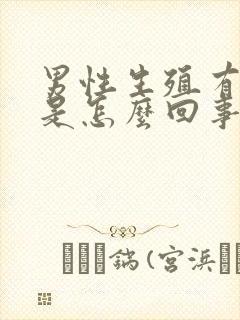 男性生殖有点痒是怎么回事