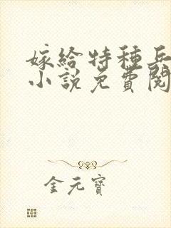 嫁给特种兵队长小说免费阅读