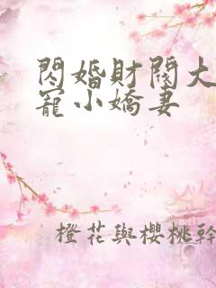 闪婚财阀大叔强宠小娇妻