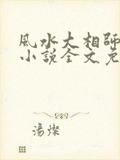 风水大相师陈阳小说全文免费下载