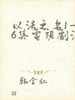 以法之名1—36集电视剧演员表