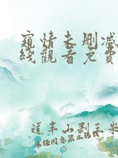 窥情未删减版在线观看免费版高清电影