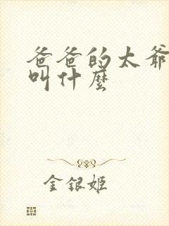 爸爸的太爷爷我叫什么