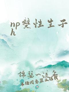 np双性生子高h
