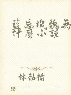 蓝忘机魏无羡是什么小说