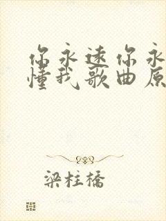 你永远你永远不懂我歌曲原唱