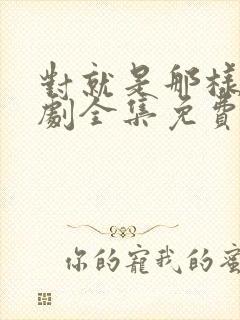 对就是那样电视剧全集免费观看