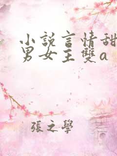 小说言情甜宠文男女主双a