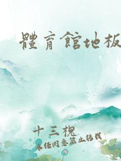 体育馆地板上c