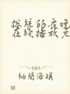 总统的夜晚电影在线播放免费观看