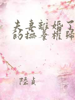 夫妻离婚了孩子的抚养权归谁
