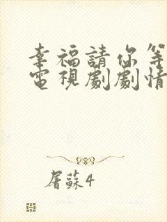 幸福请你等等我电视剧剧情介绍
