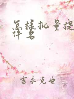怎样批量提取文件名