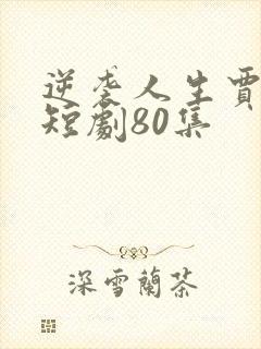 逆袭人生贾二虎短剧80集