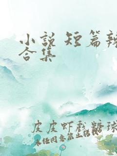 小说 短篇辣文合集