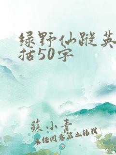 绿野仙踪英语概括50字