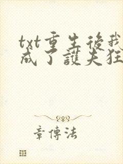txt重生后我成了护夫狂魔