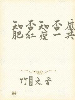 知否知否应是绿肥红瘦一共多少集