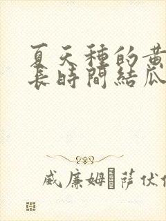 夏天种的黄瓜多长时间结瓜