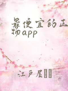最便宜的正品购物app