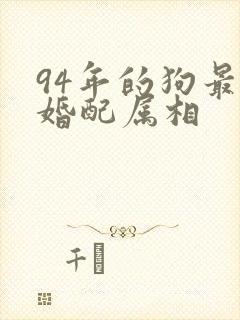 94年的狗最佳婚配属相