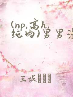 (np,高h,纯肉)男男漫画