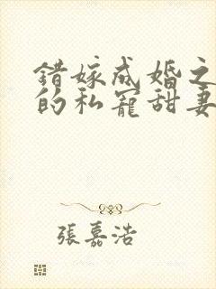错嫁成婚之总裁的私宠甜妻免费阅读