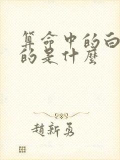 算命中的白虎指的是什么