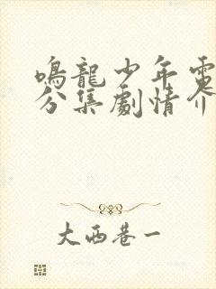 鸣龙少年电视剧分集剧情介绍