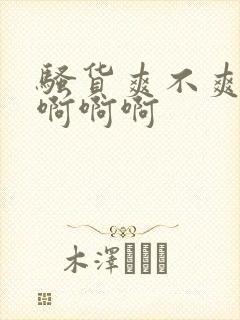 骚货爽不爽啊啊啊啊啊