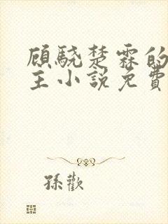 顾骁楚霖的双男主小说免费阅读