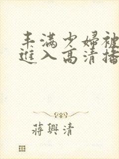 丰满少妇被猛烈进入高清播放,