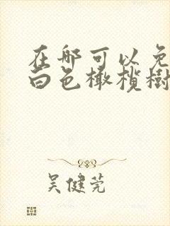 在哪可以免费看白色橄榄树电视剧