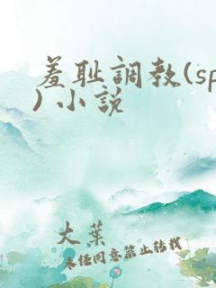 羞耻调教(sp) 小说