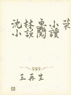 沈林鲁小荣正版小说阅读