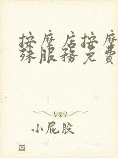 按摩店按摩师特殊服务免费看电影毛