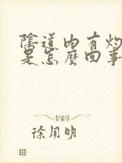 阴道内有灼痛感是怎么回事