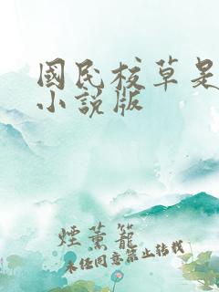 国民校草是女生小说版