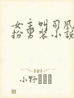 女主叫司凰的女扮男装小说
