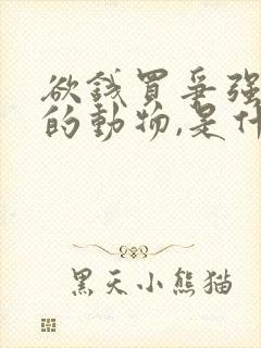 欲钱买争强好胜的动物,是什么生肖