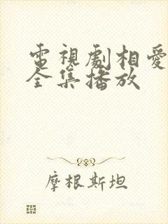 电视剧相爱十年全集播放