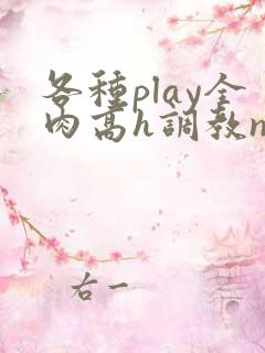 各种play全肉高h调教np