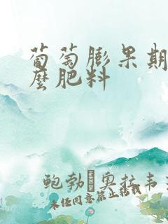 葡萄膨果期施什么肥料
