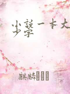 小说一本大概多少字