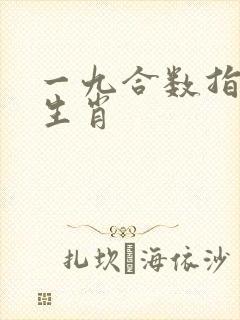 一九合数指什么生肖
